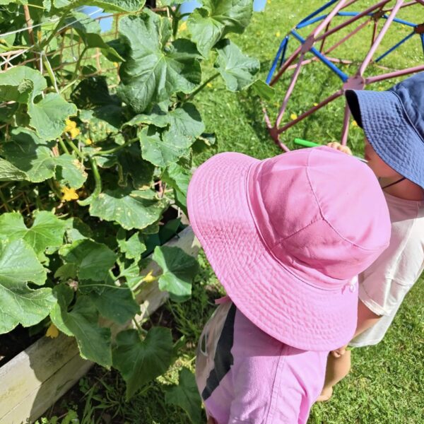 Caring For Our Garden