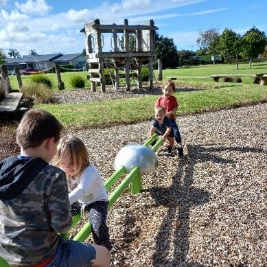 Local Parks and Playgrounds