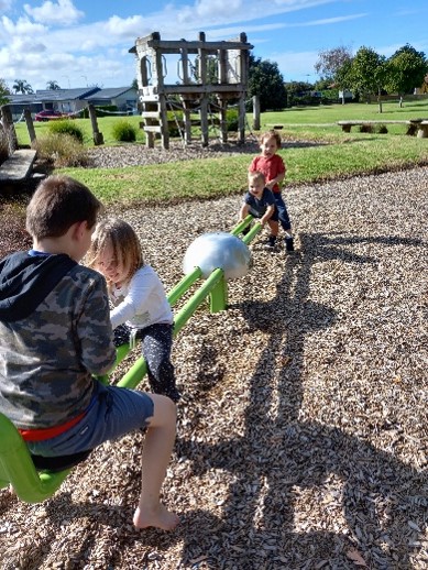 Local Parks and Playgrounds